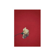 LUXORA Hand-Painted Oil Painting 50/80/120cm Modern Luxury Canvas Art Featuring Gentle Brushstrokes and Natural Tones for Elegant and Relaxing Interior Atmosphere