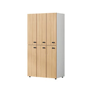LUXORA 6 Door Wardrobe Locker with Mechanical Combination Lock for Staff Gym Office