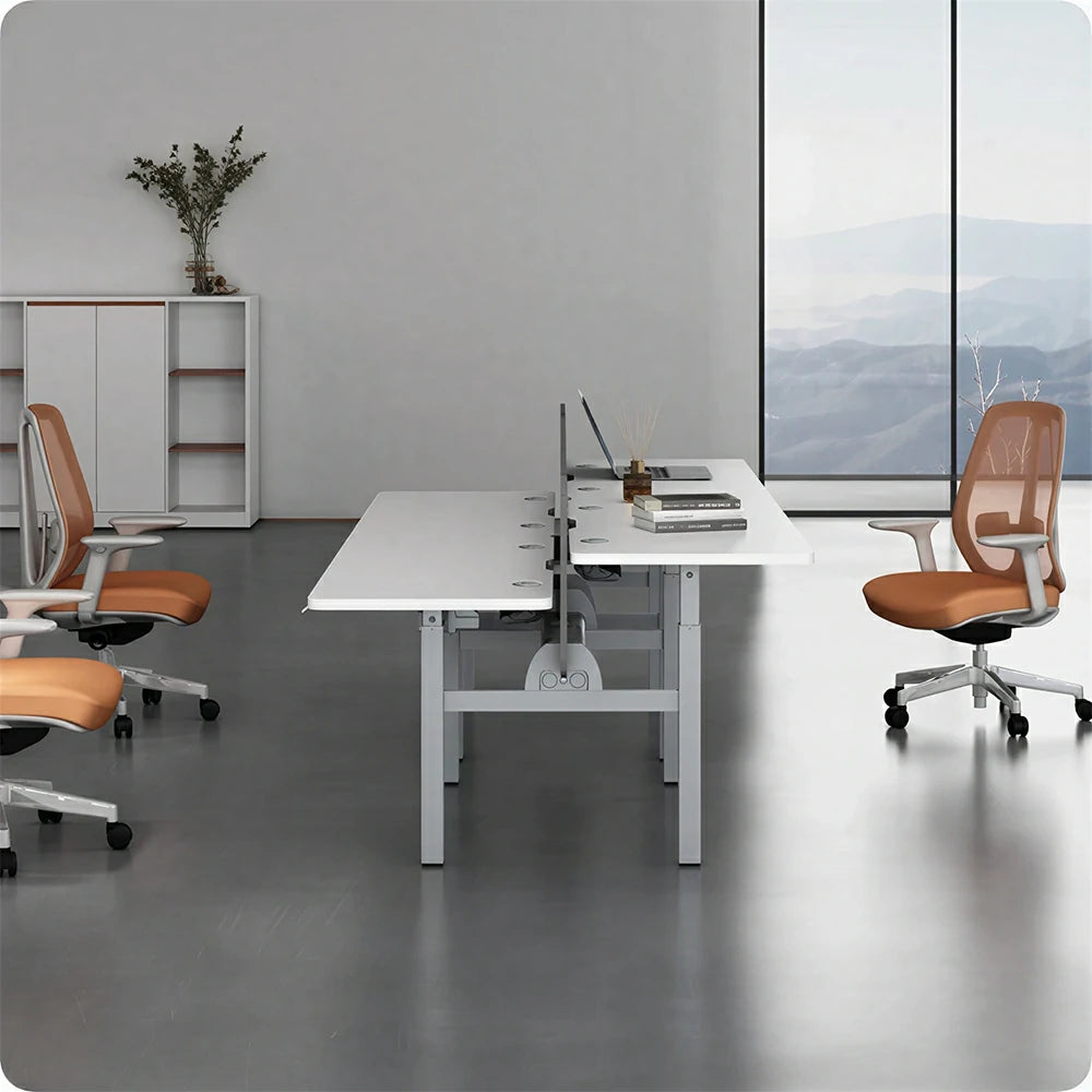 LUXORA 2 Person Study Desk - Privacy Panel Shared Workstation for Office  Room - White & Grey