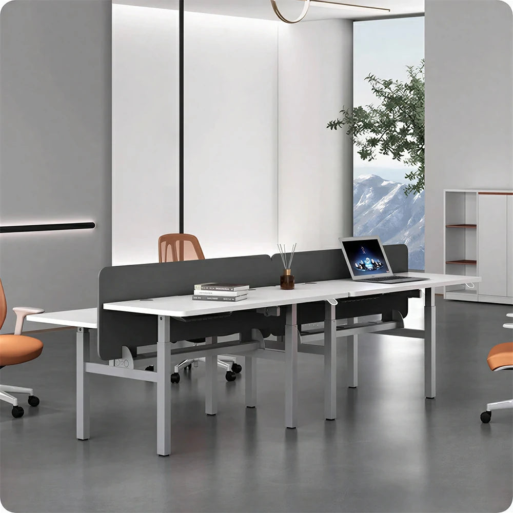 LUXORA 2 Person Study Desk - Privacy Panel Shared Workstation for Office  Room - White & Grey