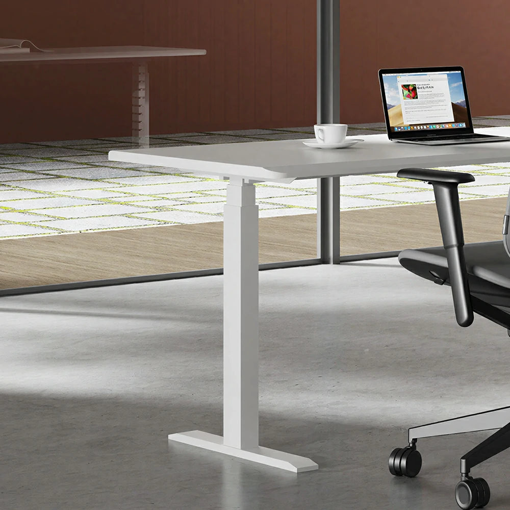 LUXORA 1.4m Electric Standing Desk - Dual Motor Height Adjustable Workstation for Home Office - White