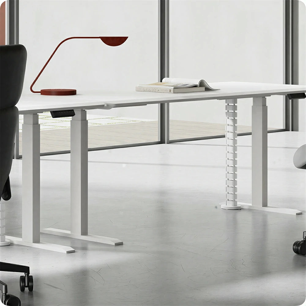 LUXORA 1.4m Electric Standing Desk - Dual Motor Height Adjustable Workstation for Home Office - White