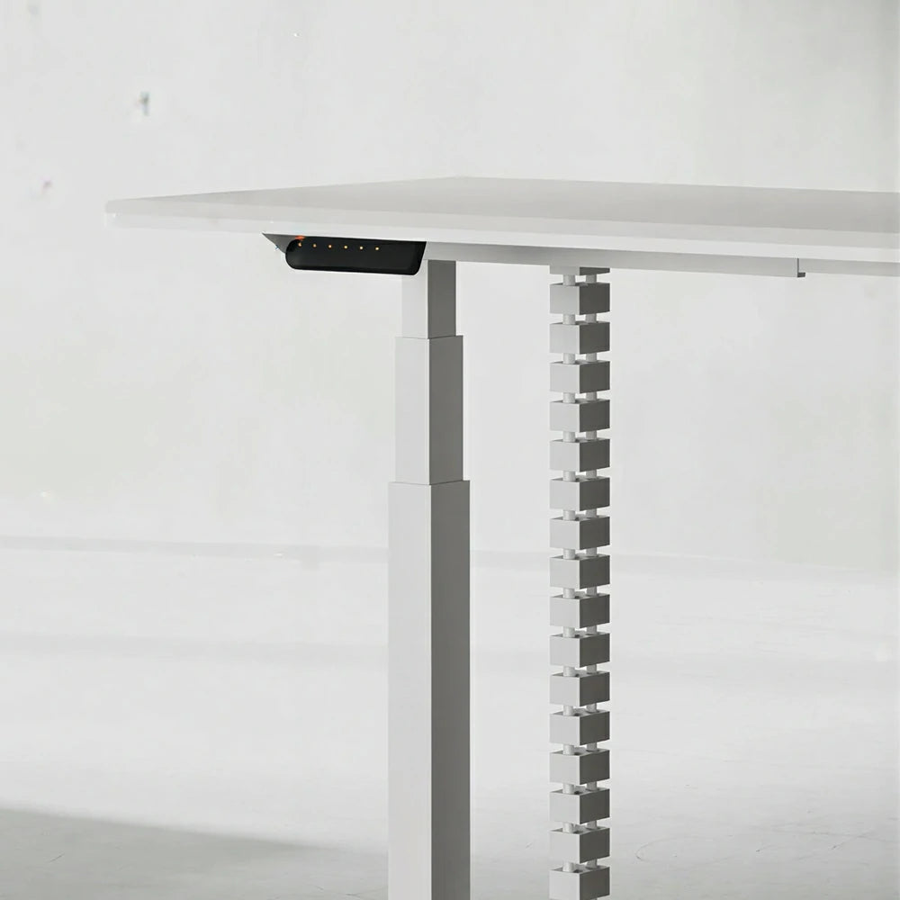 LUXORA 1.4m Electric Standing Desk - Dual Motor Height Adjustable Workstation for Home Office - White