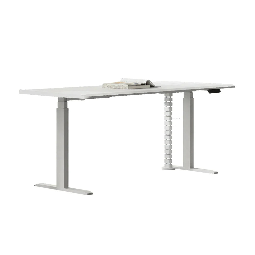 LUXORA 1.4m Electric Standing Desk - Dual Motor Height Adjustable Workstation for Home Office - White