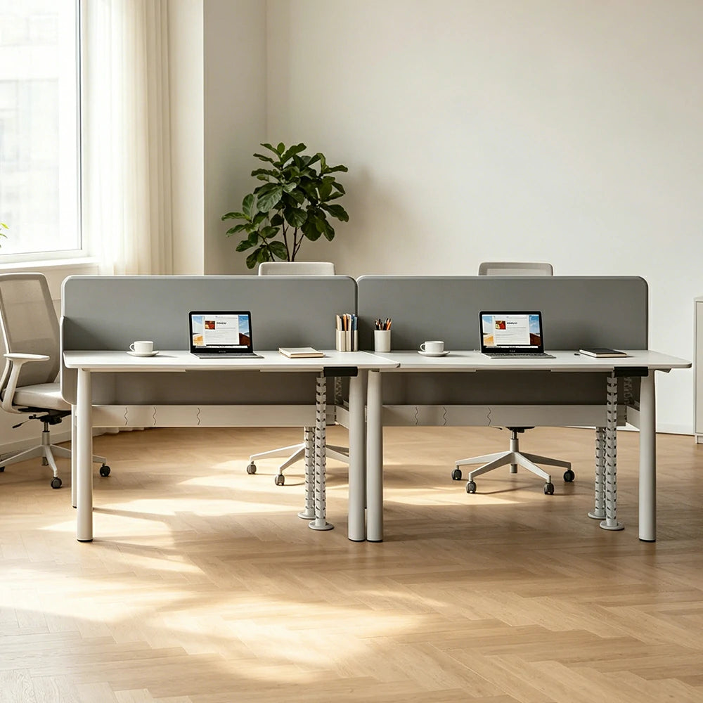 LUXORA 280cm Electric Standing Desk - Privacy Panel Office Workstation for 4 People - White & Grey