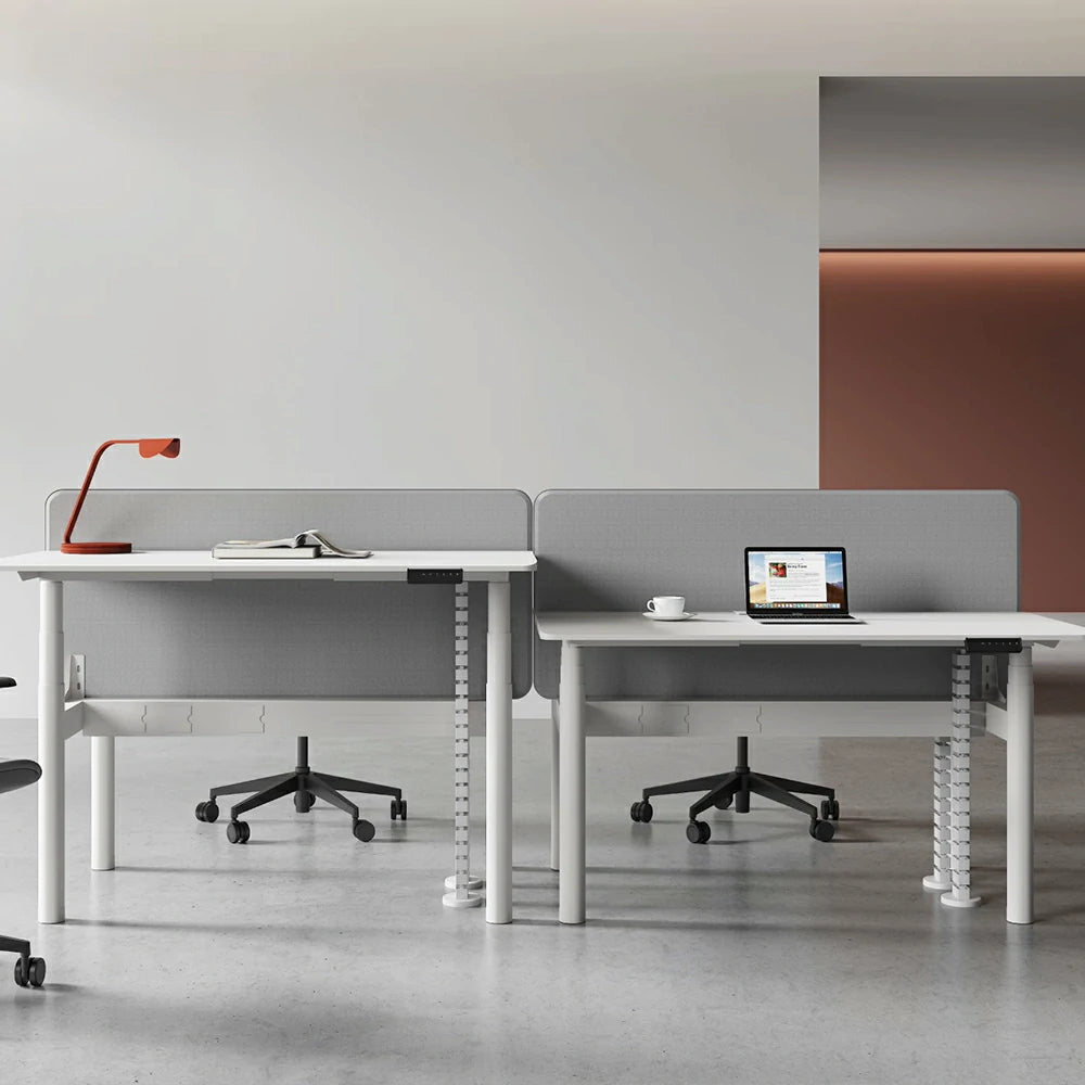 LUXORA 280cm Electric Standing Desk - Privacy Panel Office Workstation for 4 People - White & Grey