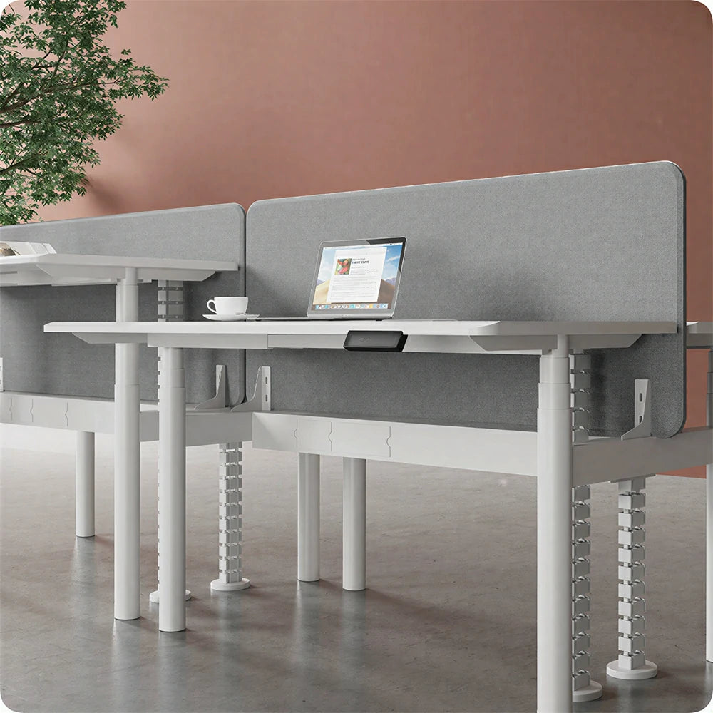 LUXORA 280cm Electric Standing Desk - Privacy Panel Office Workstation for 4 People - White & Grey