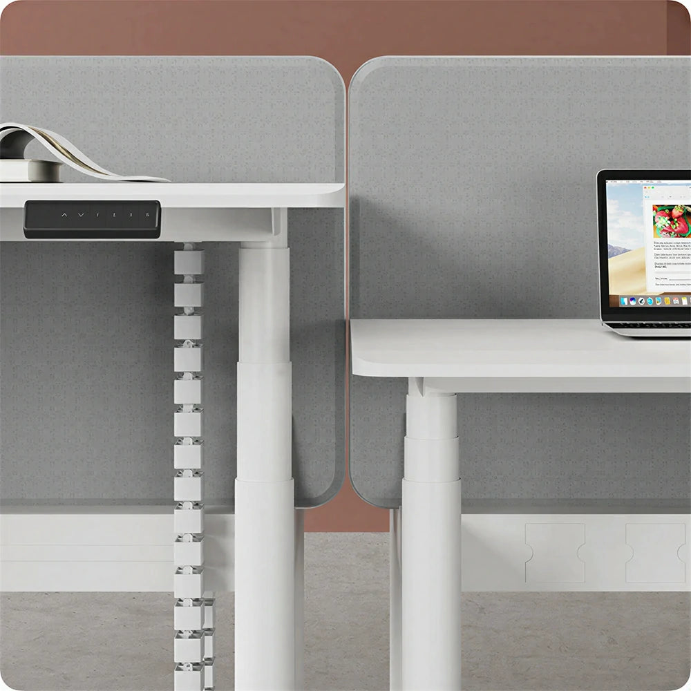 LUXORA 280cm Electric Standing Desk - Privacy Panel Office Workstation for 4 People - White & Grey