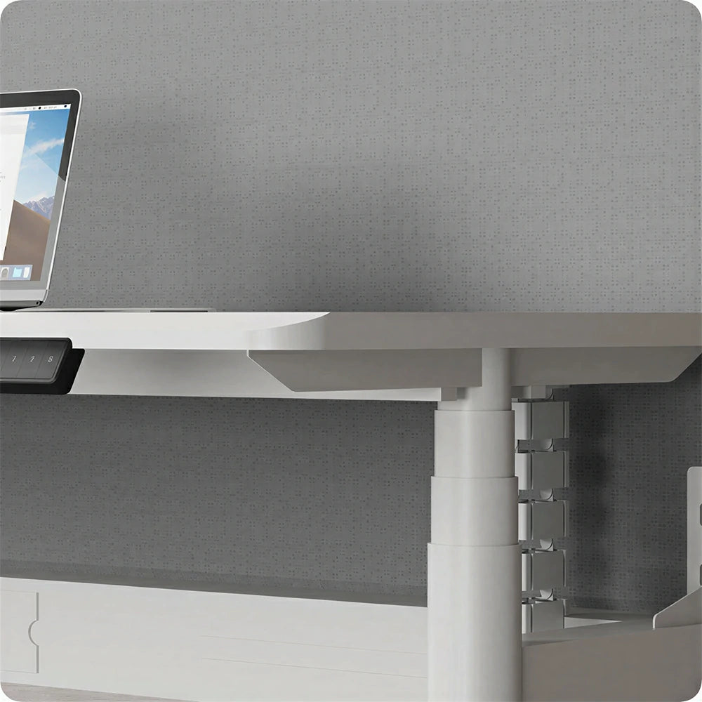 LUXORA 280cm Electric Standing Desk - Privacy Panel Office Workstation for 4 People - White & Grey
