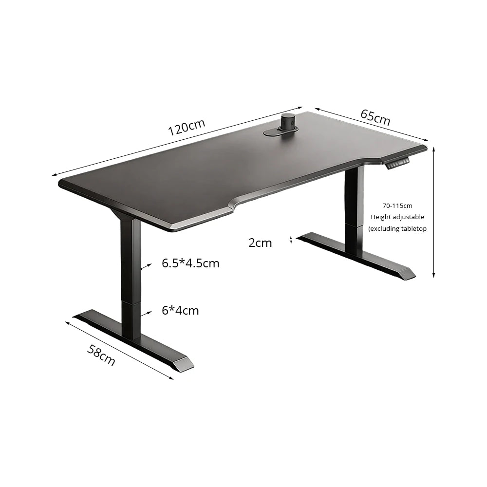 LUXROA U8 Lite Electric Height Adjustable Desk with Wireless Charging & Power Outlet 120×65×115cm Coffee - Black