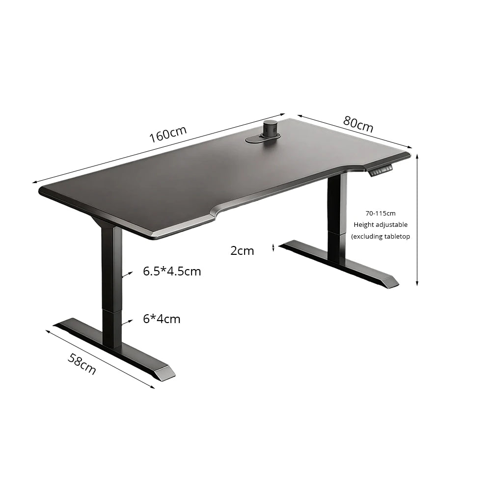 LUXROA U8 Lite Electric Height Adjustable Desk with Wireless Charging & Power Outlet 120×65×115cm Coffee - Black