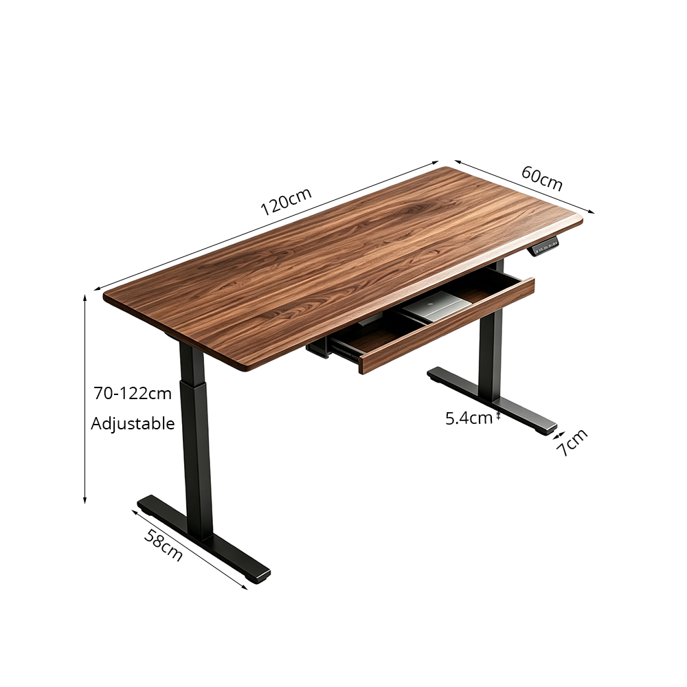 LUXORA Electric Standing Desk with Drawer, Dual Motor Height Adjustable Sit Stand Desk, Solid Wood Top Home Office Study - Walnut