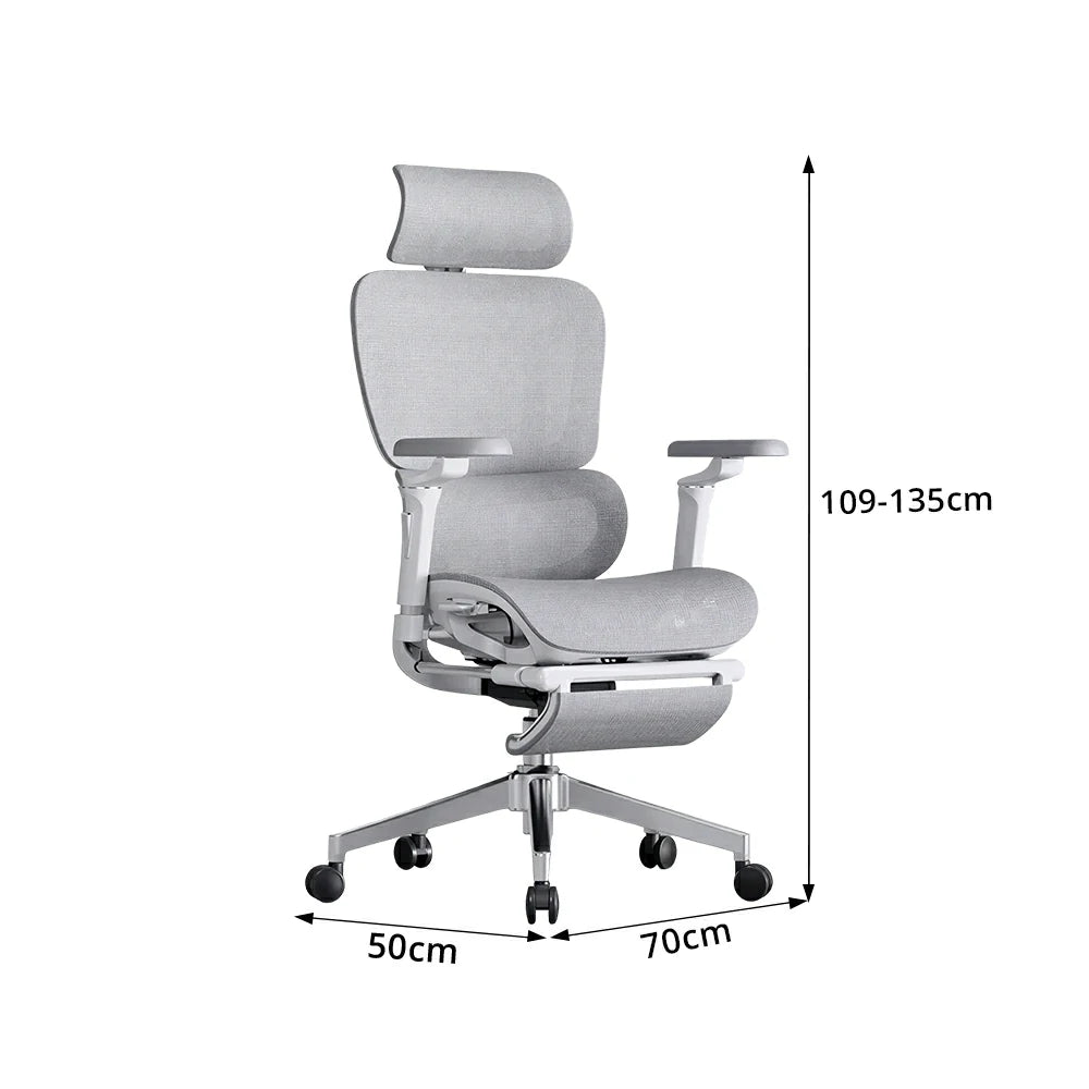 LUXORA Ergonomic Executive Office Chair High Back Mesh Reclining Desk Chair Adjustable Headrest Lumbar Support Swivel Task Chair - Grey