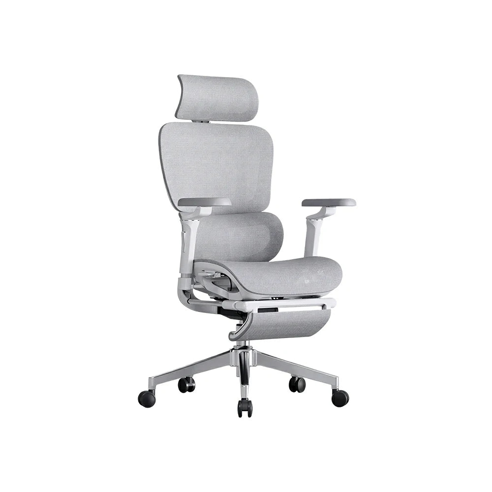 LUXORA Ergonomic Executive Office Chair High Back Mesh Reclining Desk Chair Adjustable Headrest Lumbar Support Swivel Task Chair - Grey