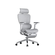LUXORA Ergonomic Executive Office Chair High Back Mesh Reclining Desk Chair Adjustable Headrest Lumbar Support Swivel Task Chair - Grey