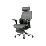LUXORA Ergonomic Office Chair High Back Mesh Lumbar Support Adjustable Headrest Executive Swivel Task Chair Home Office - Black