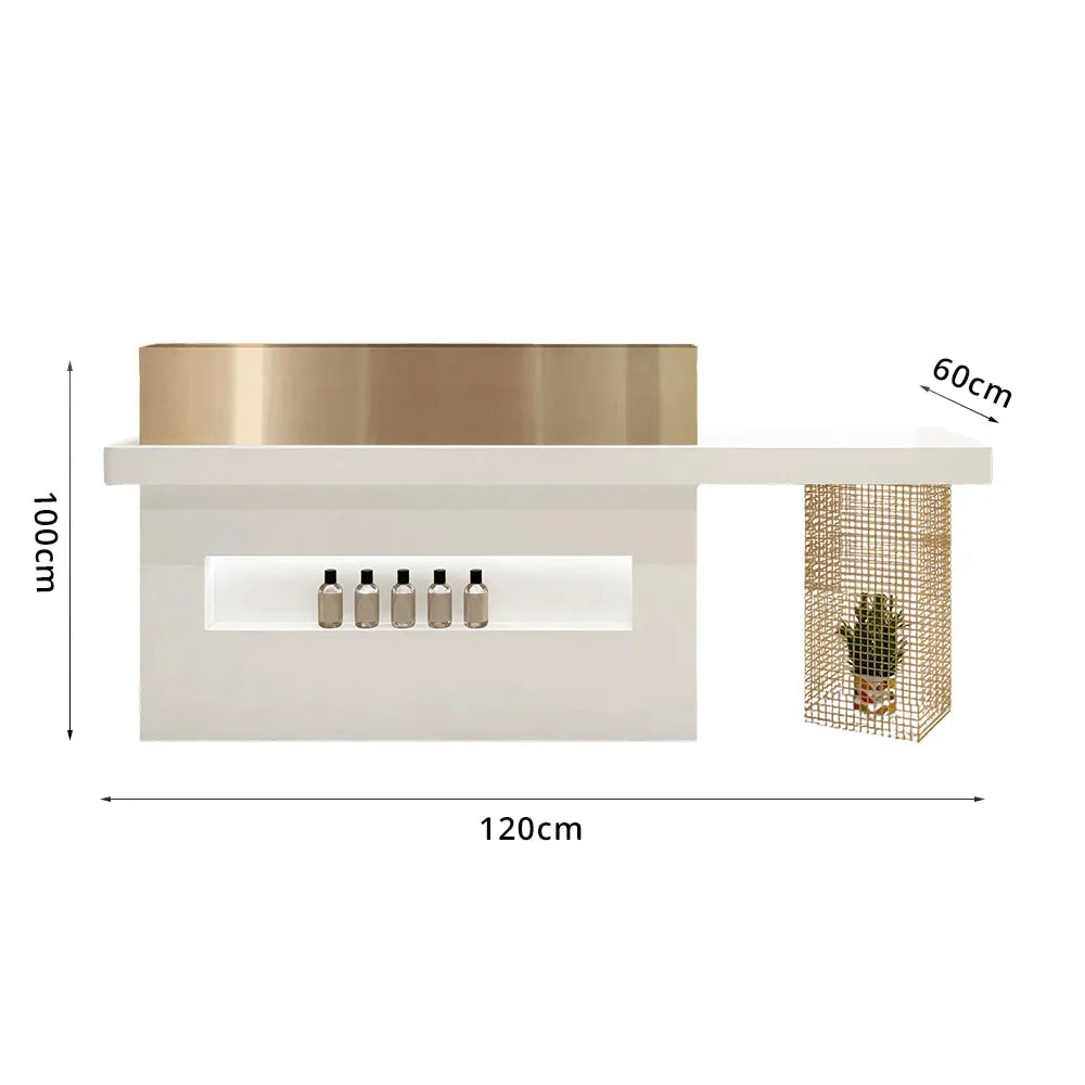 LUXORA Modern Reception Desk with Illuminated Logo Panel and Display Shelf for Salon Retail Store Office - White & Gold
