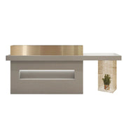 LUXORA Modern Reception Desk with Display Niche and Metal Mesh Side Panel for Salon Retail Store - Space Grey & Gold Stainless Steel