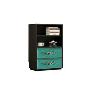 LUXORA Modular Storage Cabinet 2 Drawer Hand-Painted Organizer for Living Room Bedroom - Black