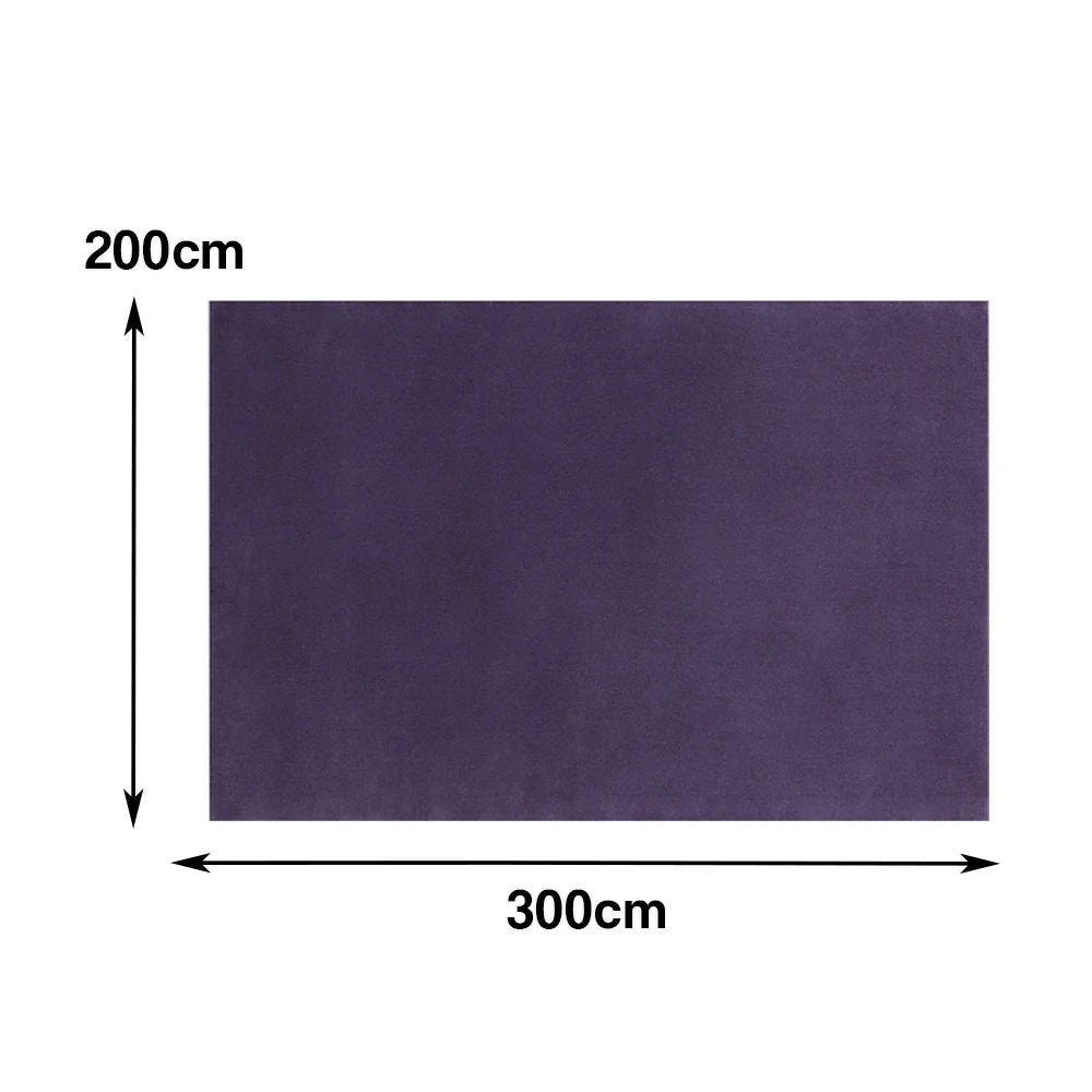 LUXORA 160/200cm Square Floor Rugs Handwoven Soft Rebound Traditional Weave Timeless Design Multi Space Use - Purple