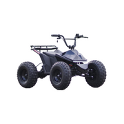 MOVO MY-T 800W Brushless Differential Motor Quad Bike-Black