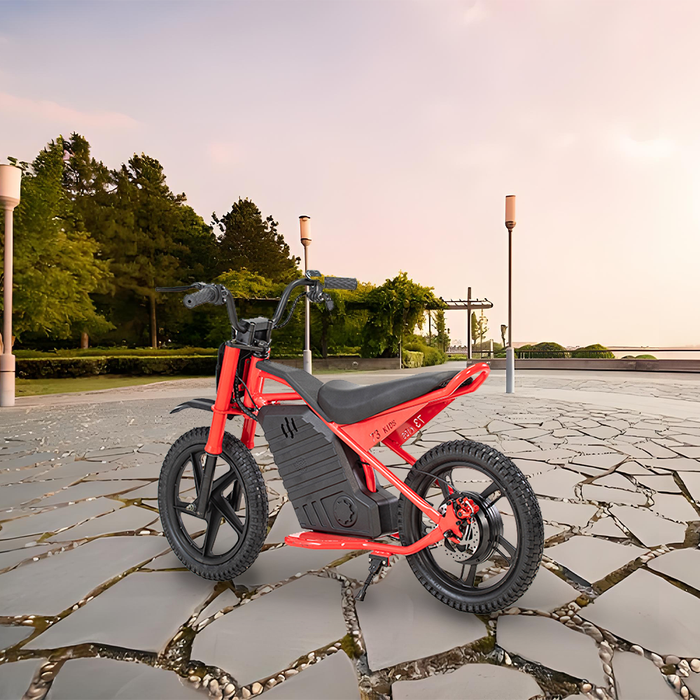 GLIDER HALLEY MY-12 350W 247V 5.2/6.0/7.8AH  Lithium Battery  Electric Motorbike/Motorcycle/Scooter Cruise at 25km/h - Unlock More Power (Details Inside)*