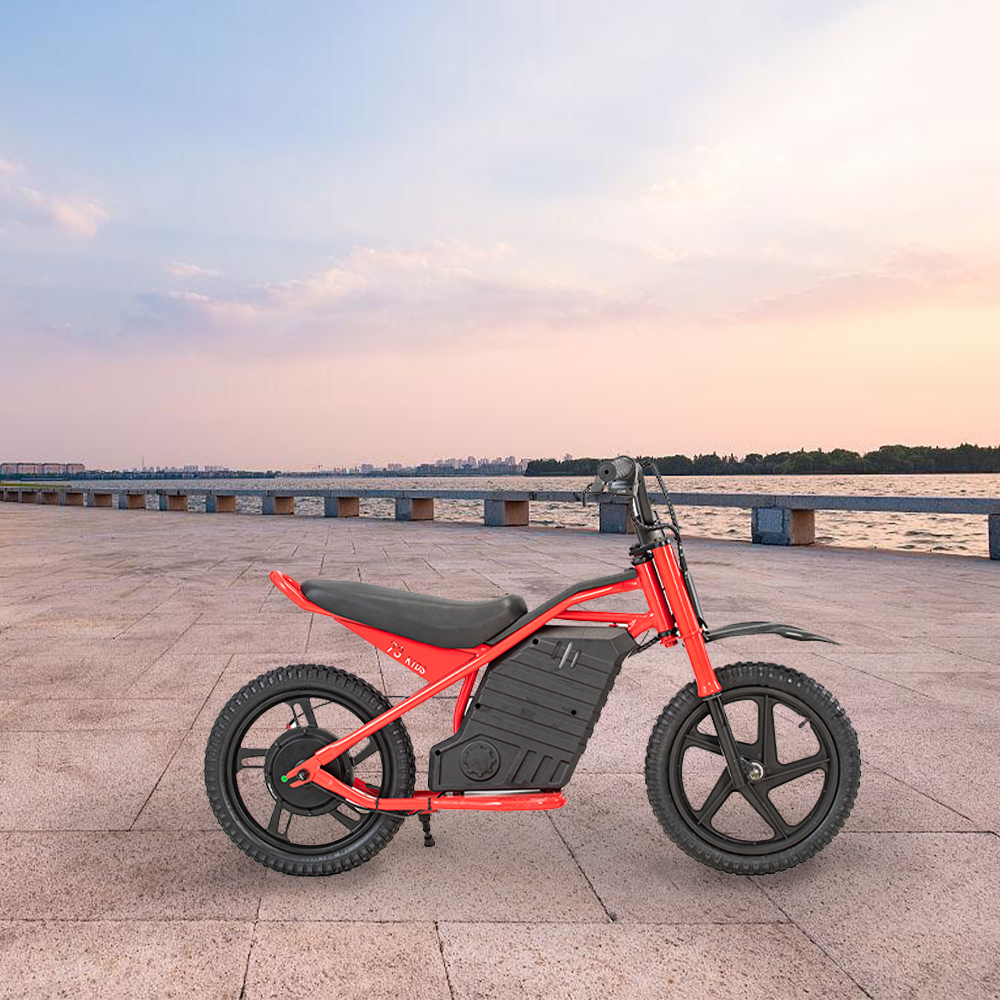 GLIDER HALLEY MY-12 350W 247V 5.2/6.0/7.8AH  Lithium Battery  Electric Motorbike/Motorcycle/Scooter Cruise at 25km/h - Unlock More Power (Details Inside)*