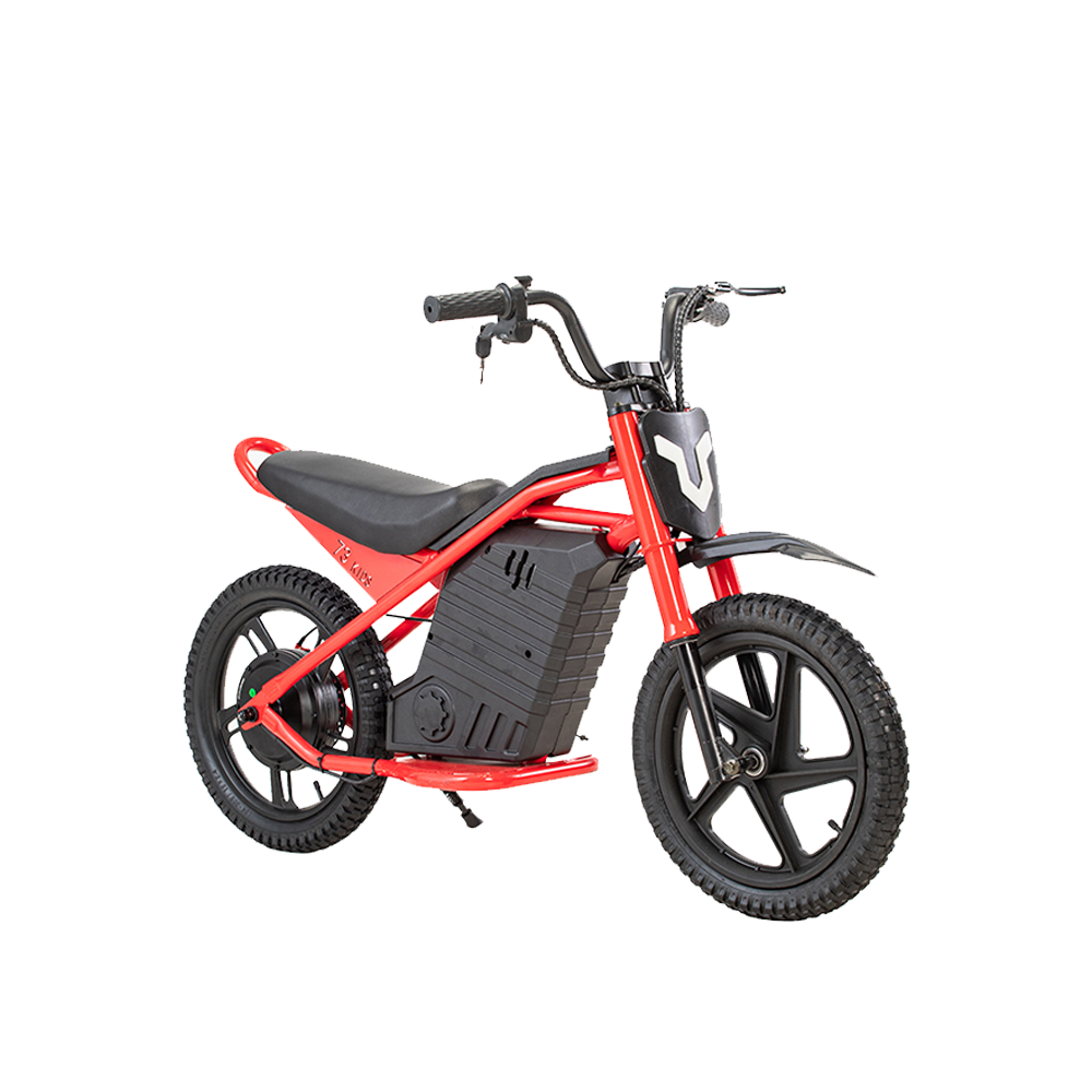 GLIDER HALLEY MY-12 350W 247V 5.2/6.0/7.8AH  Lithium Battery  Electric Motorbike/Motorcycle/Scooter Cruise at 25km/h - Unlock More Power (Details Inside)*