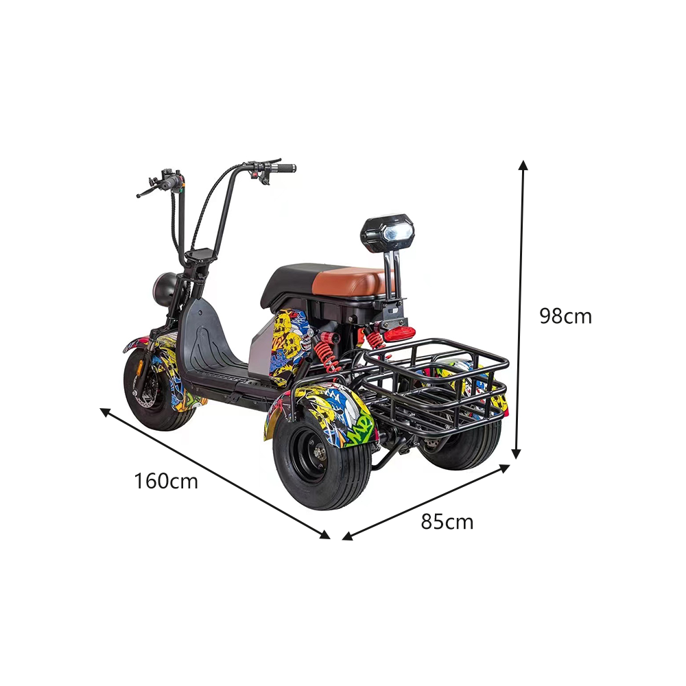 GLIDER HALLEY MY 718-3 1000W 48V 12-15.6AH Lithium Battery Three Wheels Electric Motorbike/Motorcycle/Scooter Cruise at 25km/h - Unlock More Power (Details Inside)*