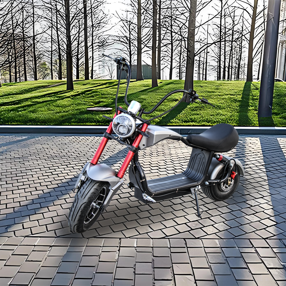 GLIDER HALLEY MY-M13 1000-1500W 48V 12-20AH  Lithium Battery Electric Motorbike/Motorcycle/Scooter Cruise at 25km/h - Unlock More Power (Details Inside)*