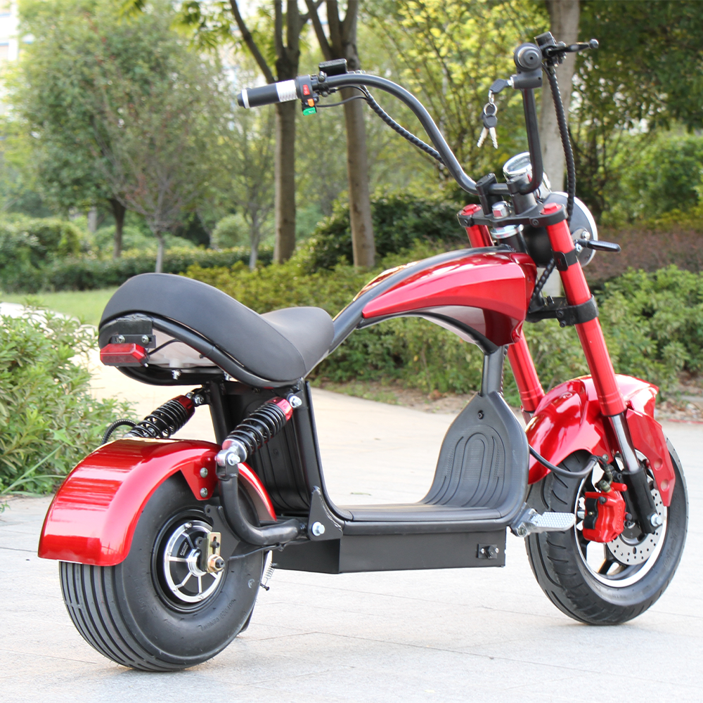 GLIDER HALLEY MY-M13 1000-1500W 48V 12-20AH  Lithium Battery Electric Motorbike/Motorcycle/Scooter Cruise at 25km/h - Unlock More Power (Details Inside)*