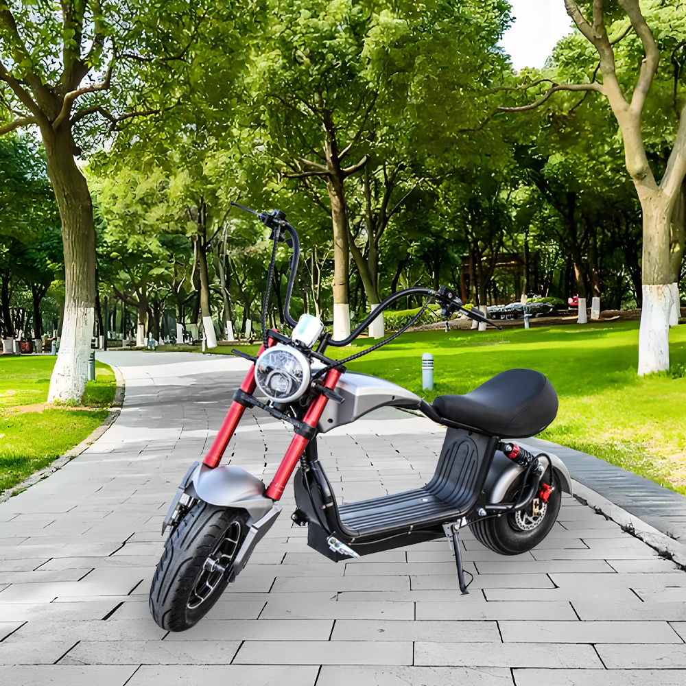 GLIDER HALLEY MY-M13 1000-1500W 48V 12-20AH  Lithium Battery Electric Motorbike/Motorcycle/Scooter Cruise at 25km/h - Unlock More Power (Details Inside)*