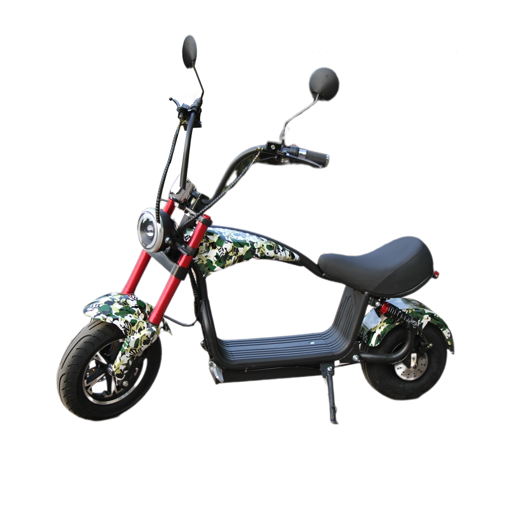 GLIDER HALLEY MY-M13 1000-1500W 48V 12-20AH  Lithium Battery Electric Motorbike/Motorcycle/Scooter Cruise at 25km/h - Unlock More Power (Details Inside)*