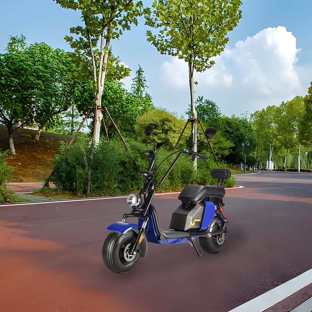 GLIDER HALLEY MY M718 1000W 48V 12-20AH  Lithium Battery Electric Motorbike/Motorcycle/Scooter Cruise at 25km/h - Unlock More Power (Details Inside)*