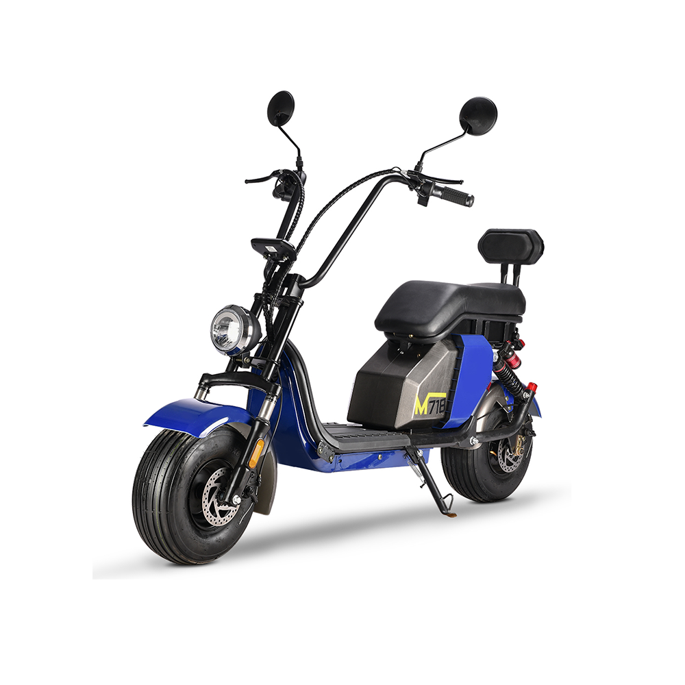 GLIDER HALLEY MY M718 1000W 48V 12-20AH  Lithium Battery Electric Motorbike/Motorcycle/Scooter Cruise at 25km/h - Unlock More Power (Details Inside)*