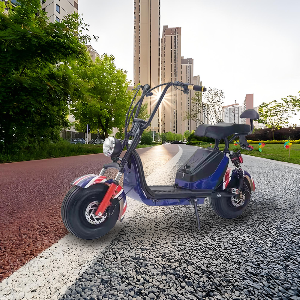 GLIDER HALLEY MY X17 1000W 48V 12-20AH  Lithium Battery Electric Motorbike/Motorcycle/Scooter Cruise at 25km/h - Unlock More Power (Details Inside)*