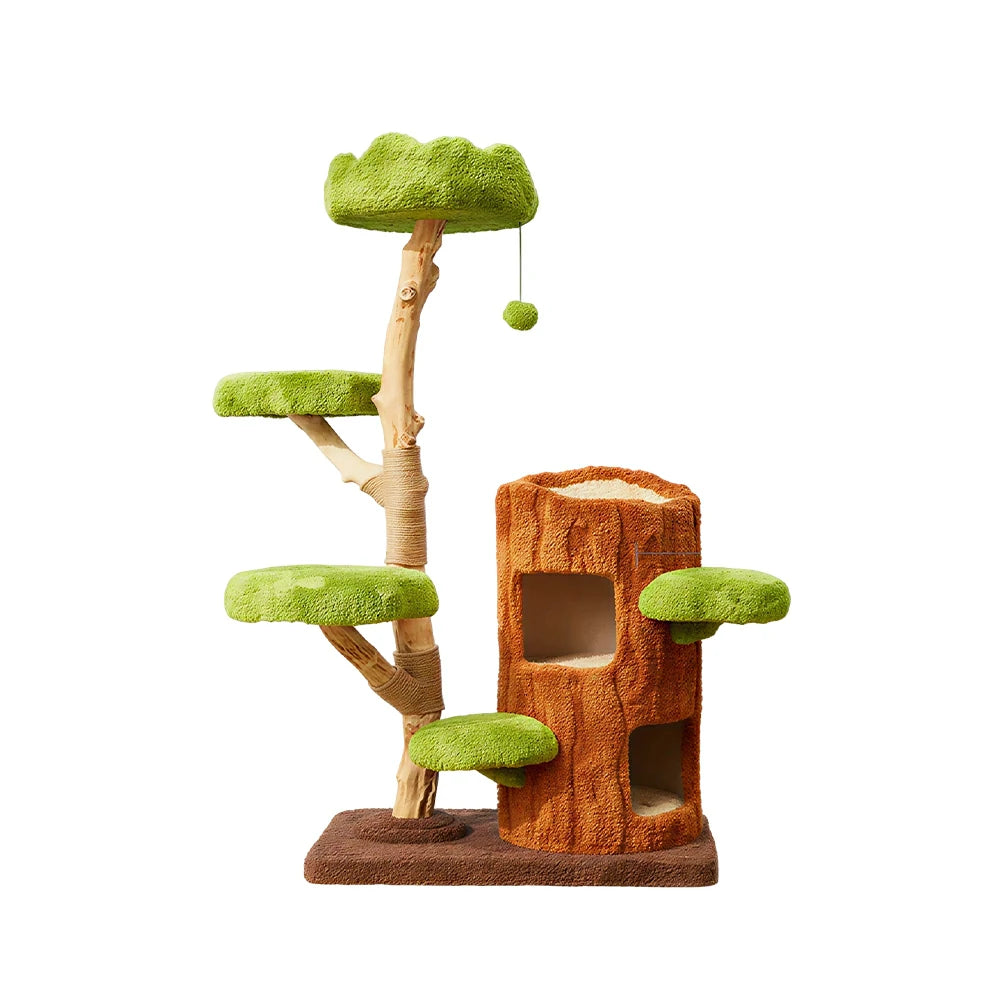 PAWORA Double-Level Treehouse Cat Tree - 142cm Forest-Style Cat Condo with Natural Wood Posts - Green Brown