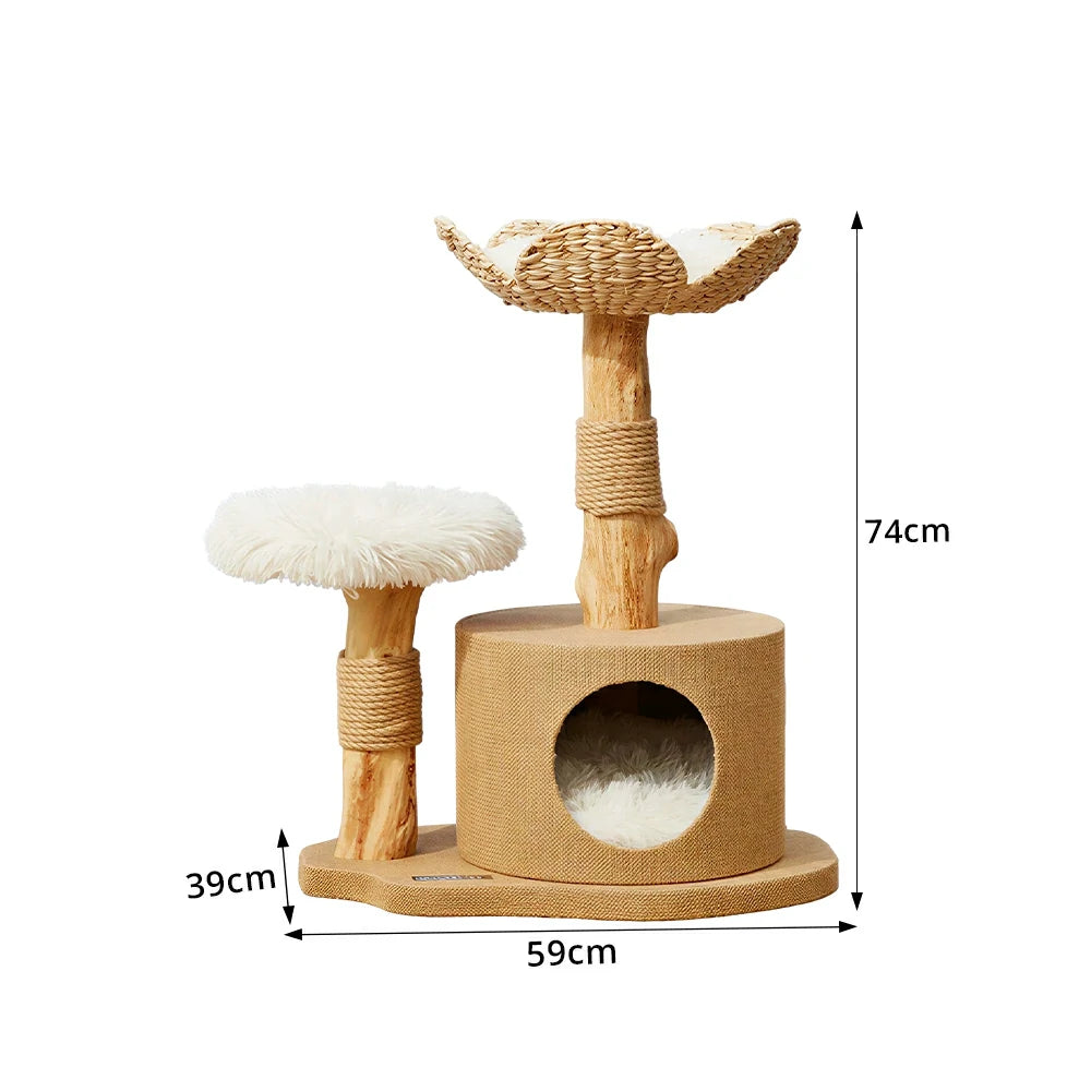 PAWORA Cattail Cat Tree with Natural Wood Scratching Posts 74cm Indoor Cat Condo - Beige