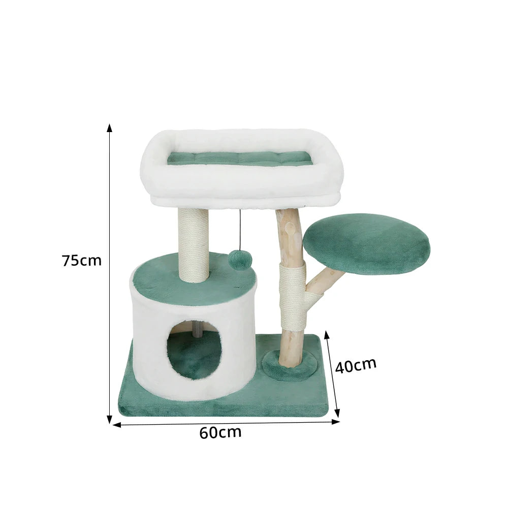 PAWORA Hole House Cat Tree - 75cm Compact Cat Tower with Hideaway Bed and Scratching Posts - Teal & White