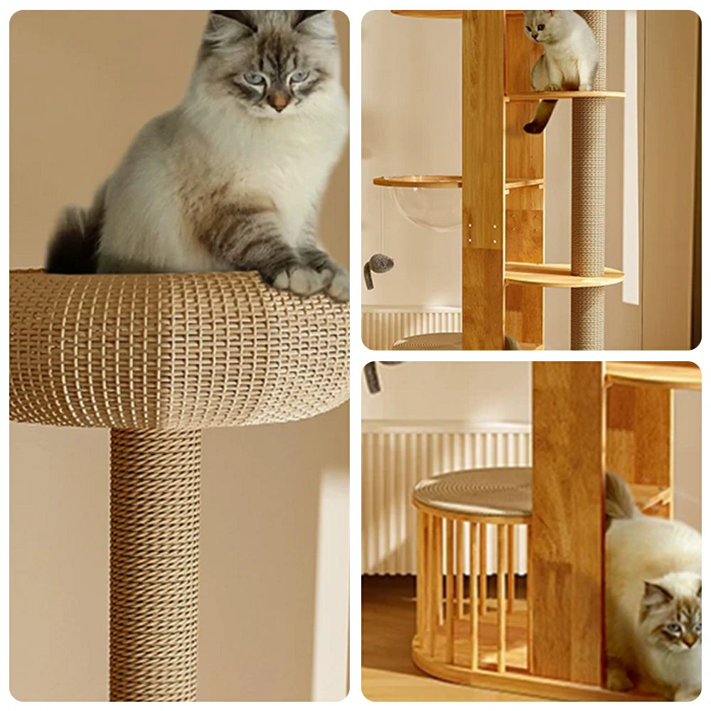 PAWORA Indoor Cat Tree - Solid Wood Multi-Level Scratching Tower with Capsule Cat House - Natural Wood