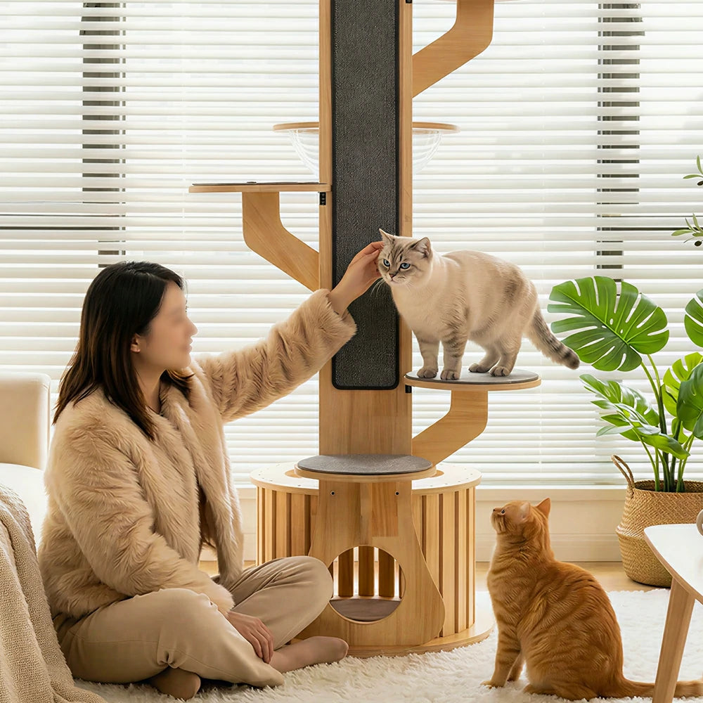PAWORA Desert Oasis Cat Tree - Solid Wood Multi-Level Tower with Capsule & Grey Paper Rope Posts - Natural Wood