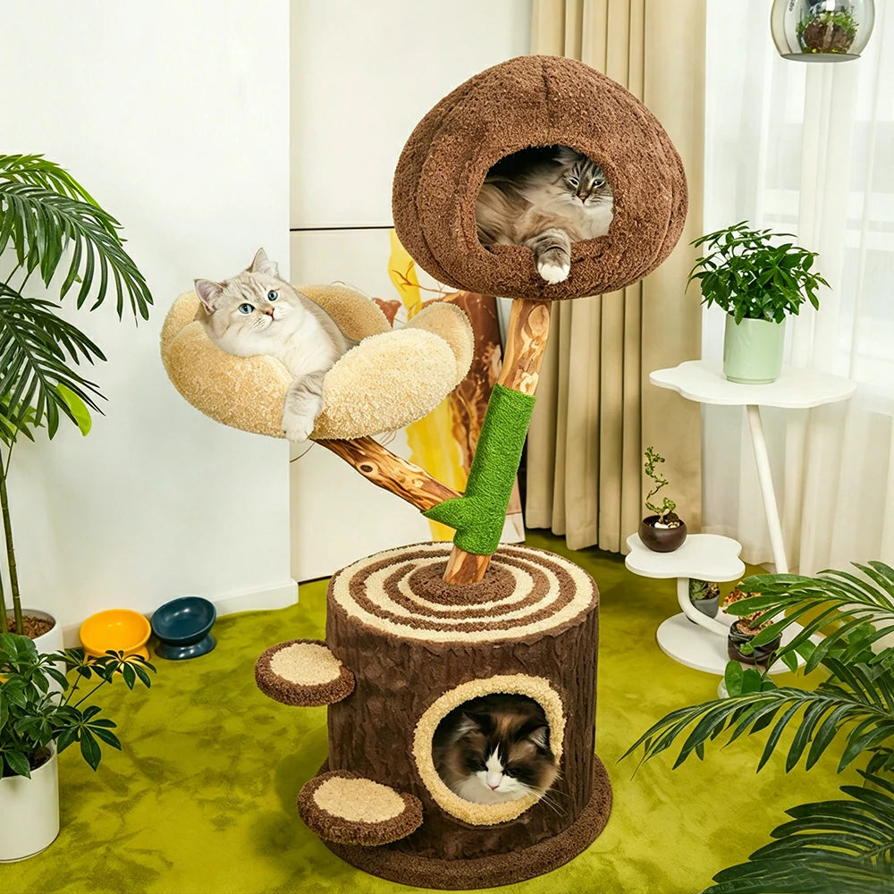 PAWORA Cloud Treehouse Cat Tree - 115cm Natural Eco-Friendly Odour-Free Cat Condo Tower - Brown Green