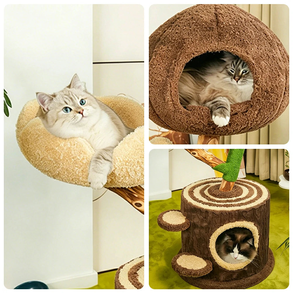 PAWORA Cloud Treehouse Cat Tree - 115cm Natural Eco-Friendly Odour-Free Cat Condo Tower - Brown Green