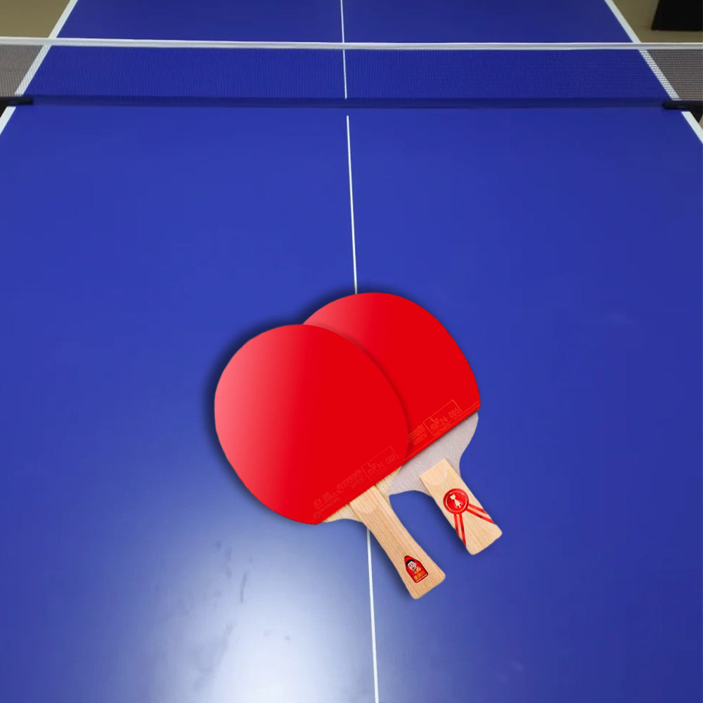 DHS Ping Pong Racket Paddle/ Gold Medal Table Tennis Racket-LongMa
