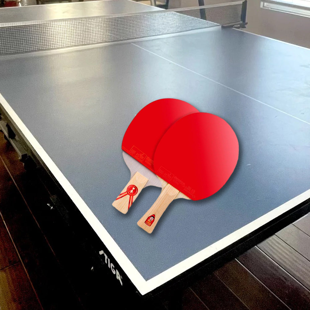 DHS Ping Pong Racket Paddle/ Gold Medal Table Tennis Racket-LongMa