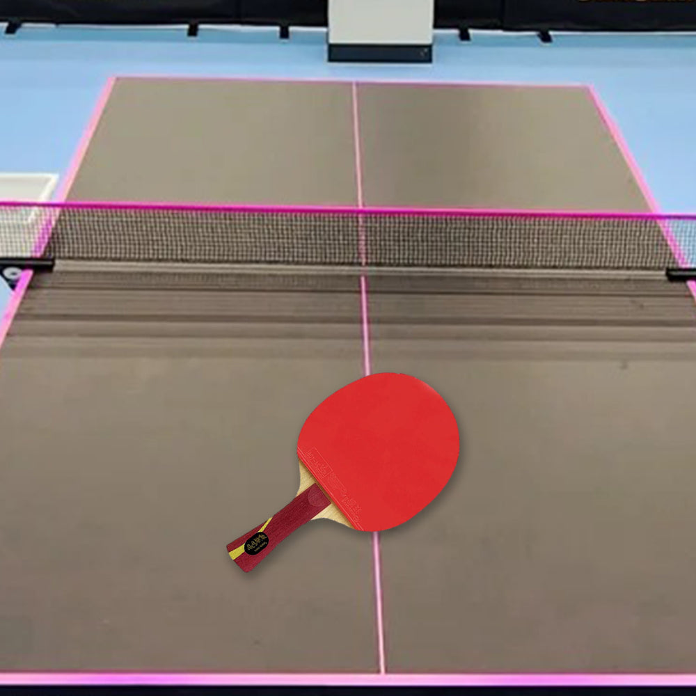 DHS Glory Tennis Racket/Flared Handle/Ping Pong Paddle