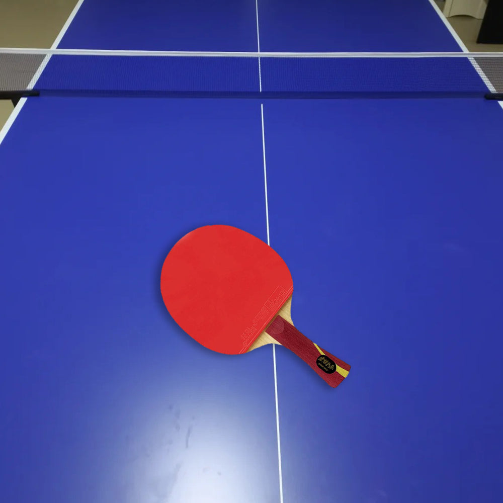 DHS Glory Tennis Racket/Flared Handle/Ping Pong Paddle