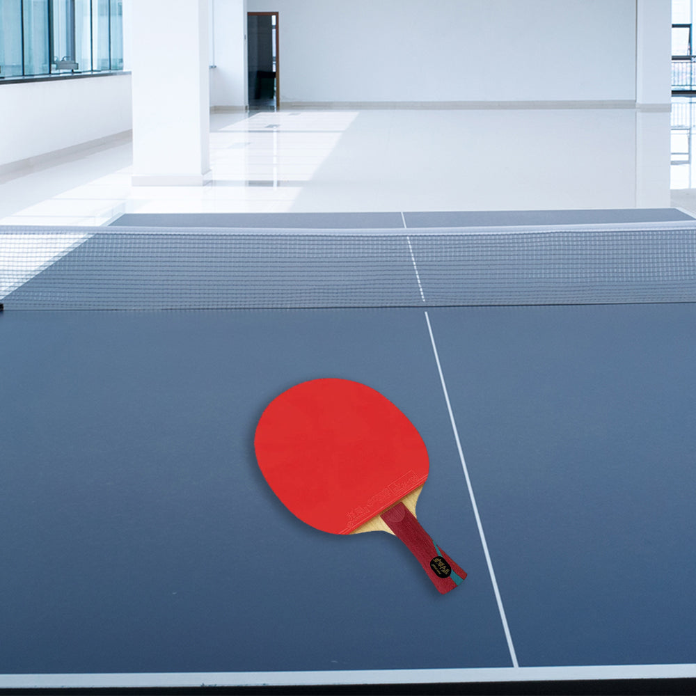 DHS Glory Tennis Racket/Flared Handle/Ping Pong Paddle