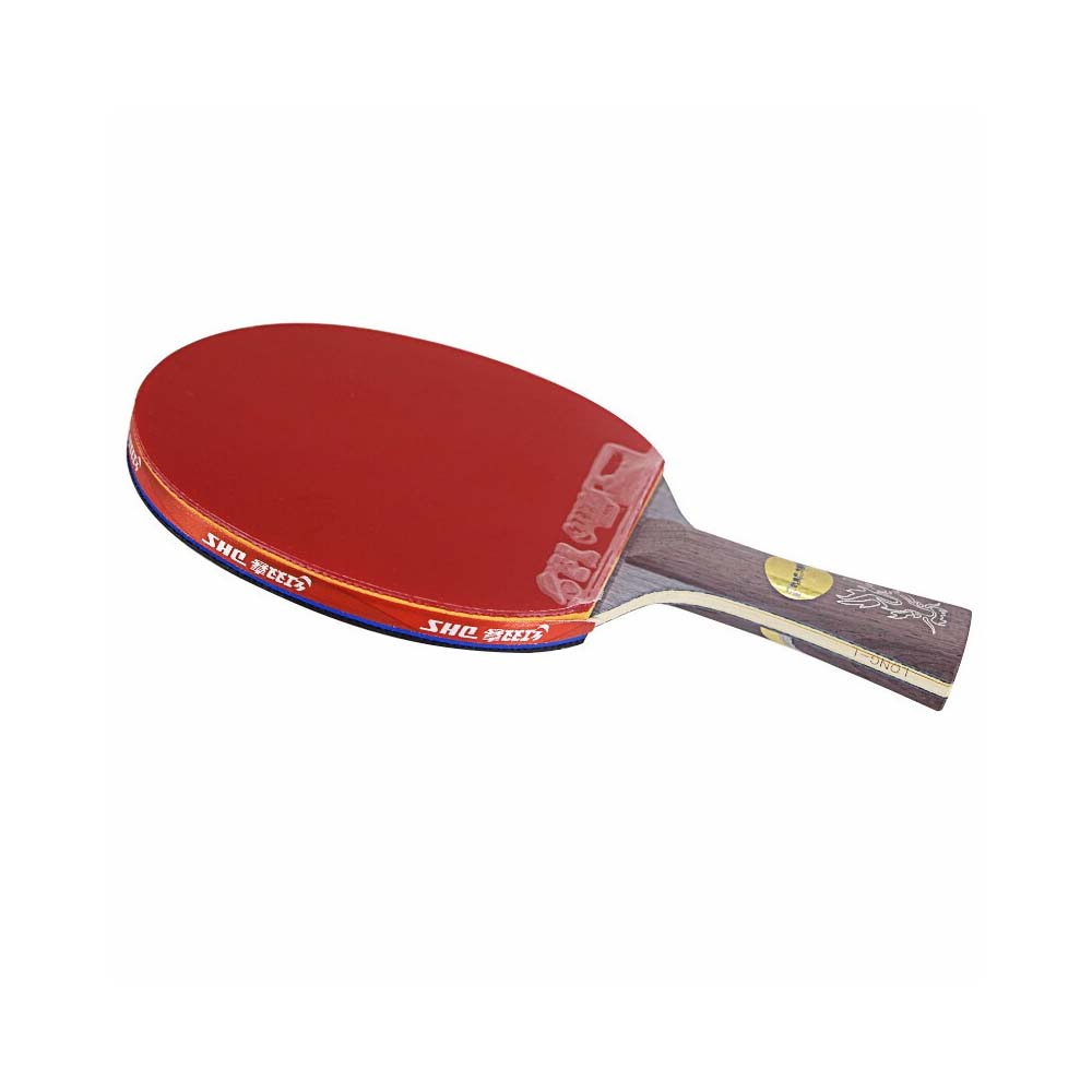 DHS Ping Pong Racket Paddle/ Dragon Tennis Racket Gift Box