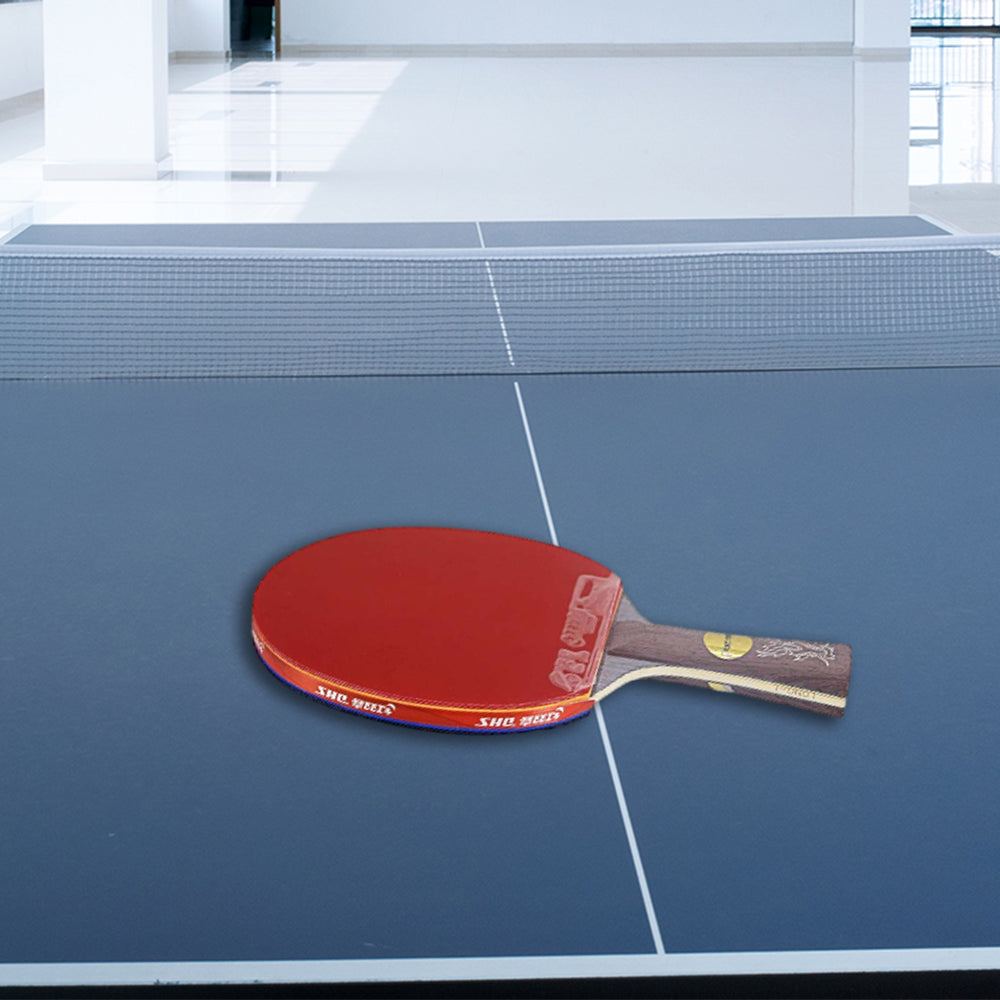 DHS Ping Pong Racket Paddle/ Dragon Tennis Racket Gift Box